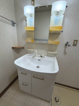 巴町神田戸建の洗面所
