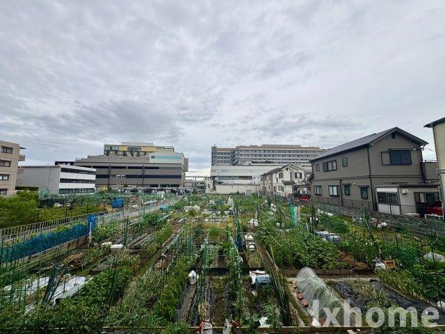 グリーンハイツ岸辺の展望