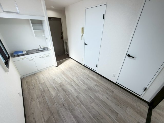 エクセレンテワコーのその他