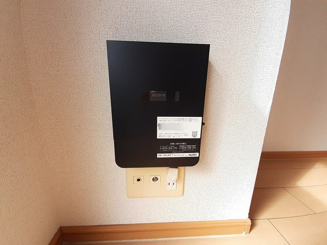 エテルノソ－レのその他