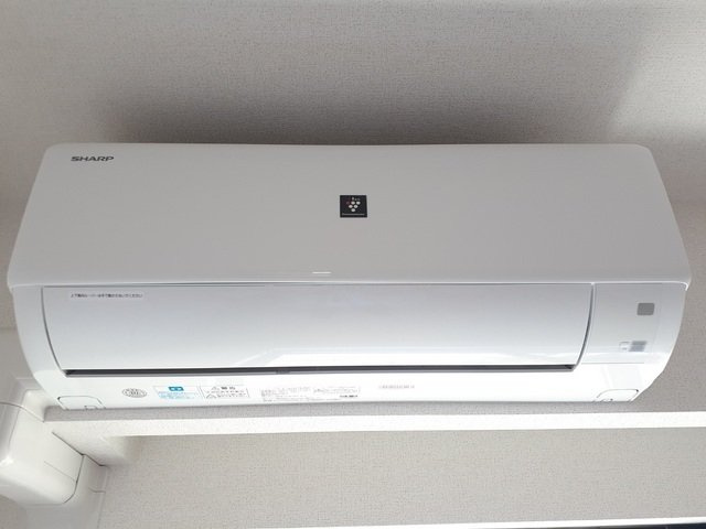 パインレッドのその他