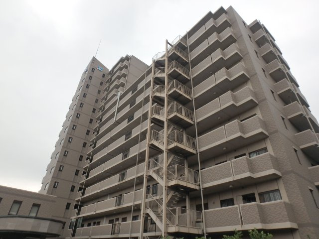 ベルドゥムール川口東