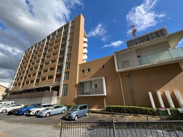 エトールⅩ