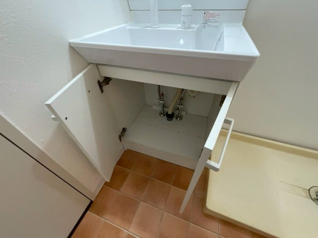 エクセル西宮の洗面所