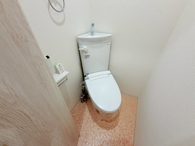 ハイツ室川1のトイレ