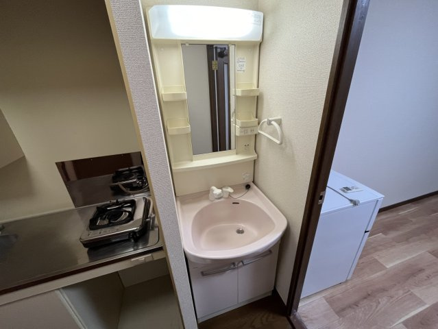 ステラハウス15の洗面所