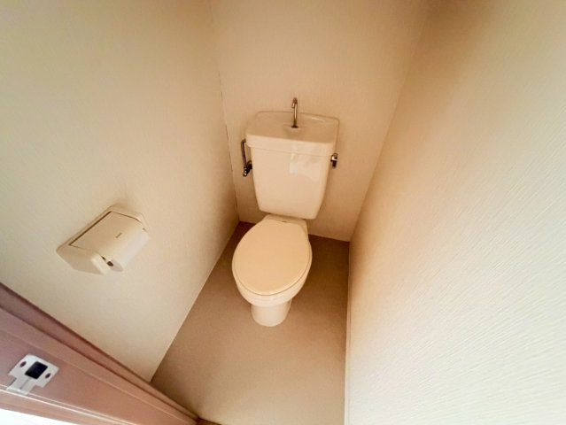 クリスタルカーサⅡのトイレ
