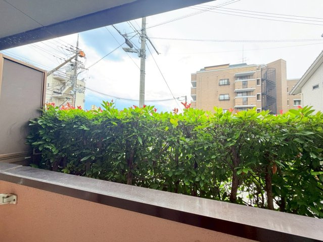 クリスタルカーサⅡの展望