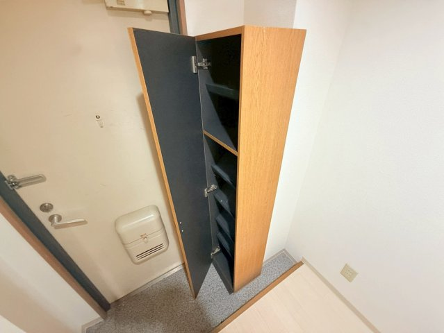 クリスタルカーサⅡの玄関