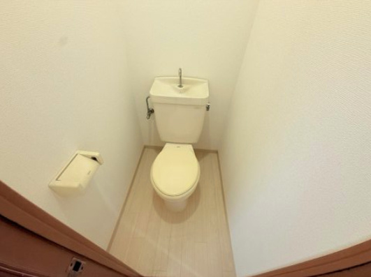 クリスタルカーサⅡのトイレ