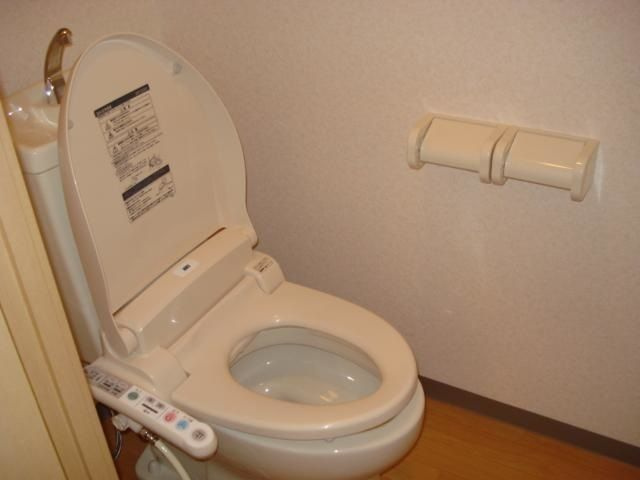 サイネリア丸美のトイレ