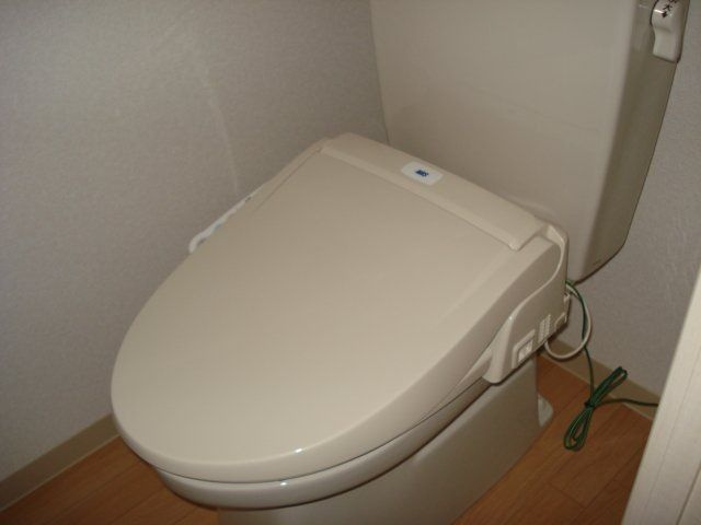 サイネリア丸美のトイレ