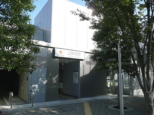 グリーンハウス上野毛 2Cの周辺|74998511_16.jpg