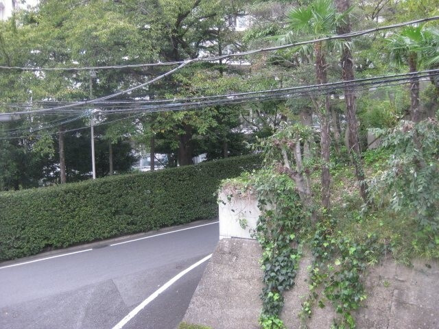 グリーンハウス上野毛 2Cの展望|74998511_12.jpg