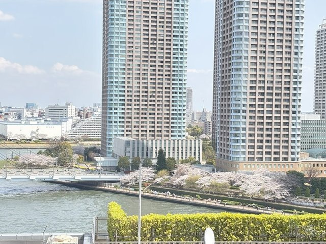 パークシティ中央湊ザタワーの展望|72895129_13.jpg