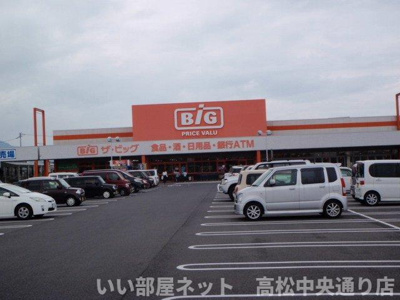 【周辺】 | キャッスル　Ａ | ザ・ビッグ多度津店まで1500m