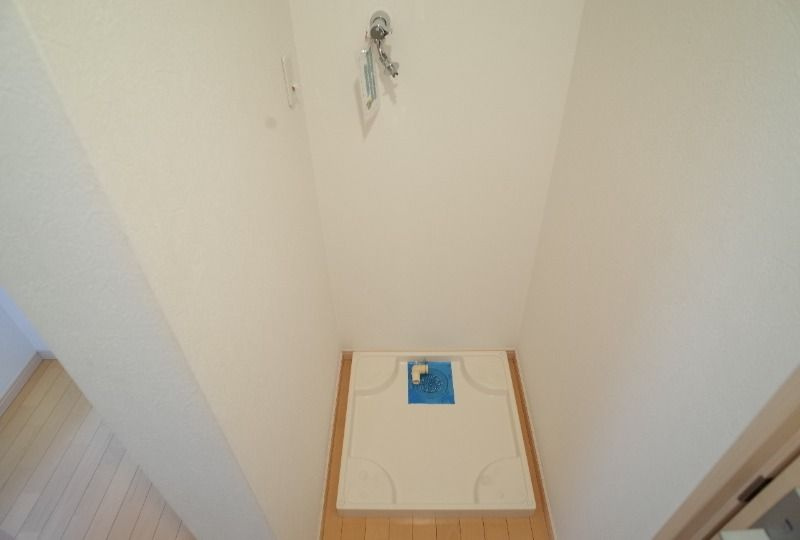 サイプレスのその他