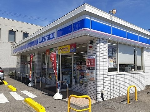 ラ・ドゥサーⅠの周辺|ローソン徳島北沖洲店様さんまで1100m