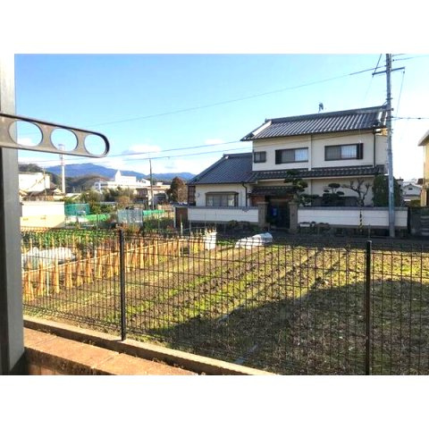 アンプルール クラージュ サピエンスのその他