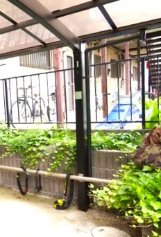 Ｔａｎｎｅｎｂａｕｍ　タンネンバームのその他共用部分