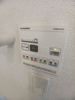 【その他】ウェルシュ　テリア 