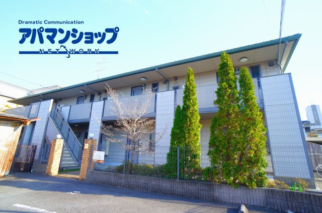 雅