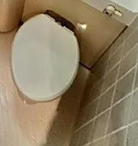 ライオンズマンション浅草言問橋のトイレ