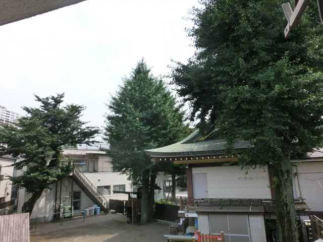 ピュア元禄の展望