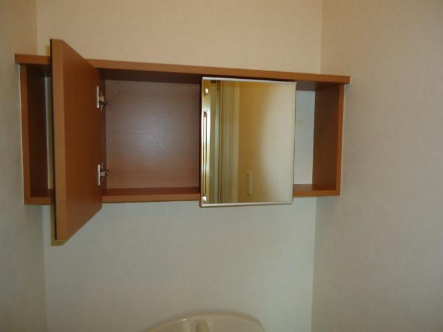 グランディールの収納|ミラー付トイレ収納