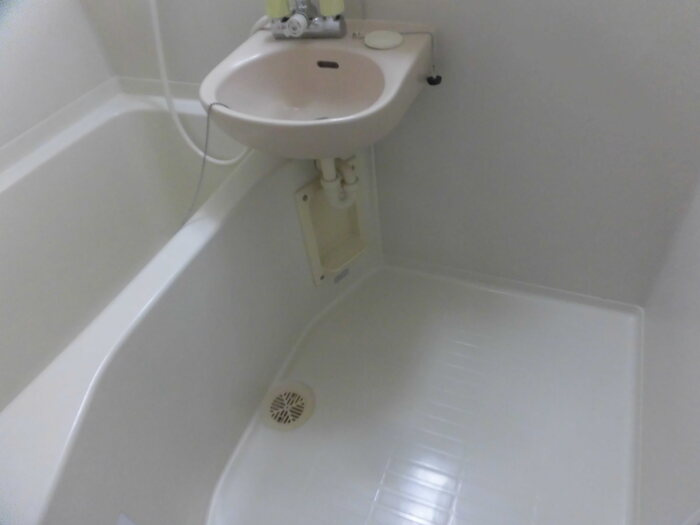 プレミール水主町A棟の洗面所