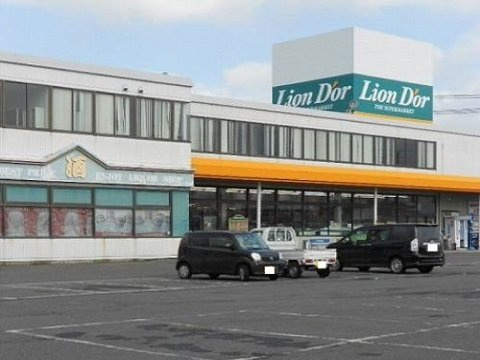 ソレアード・日向の周辺|リオン・ドール須賀川インター店まで850m