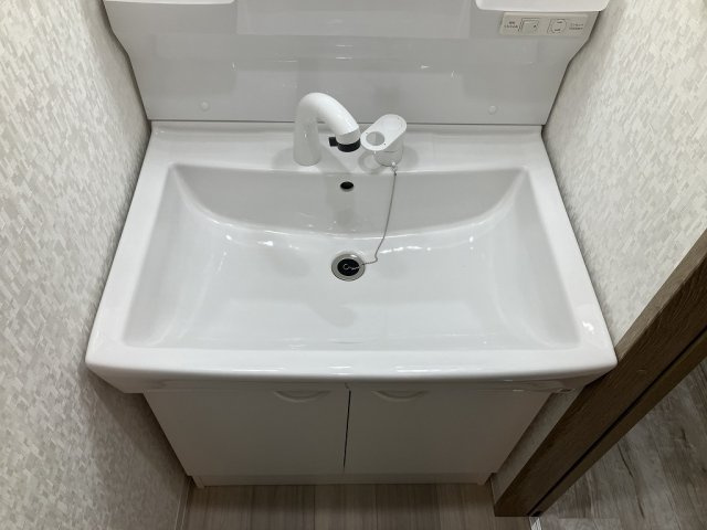 エムグレース豊中の洗面所