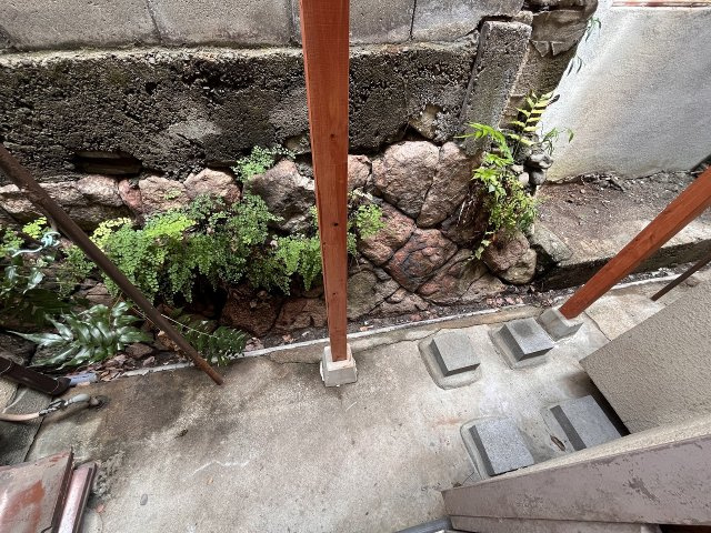 コーポ旗塚の庭