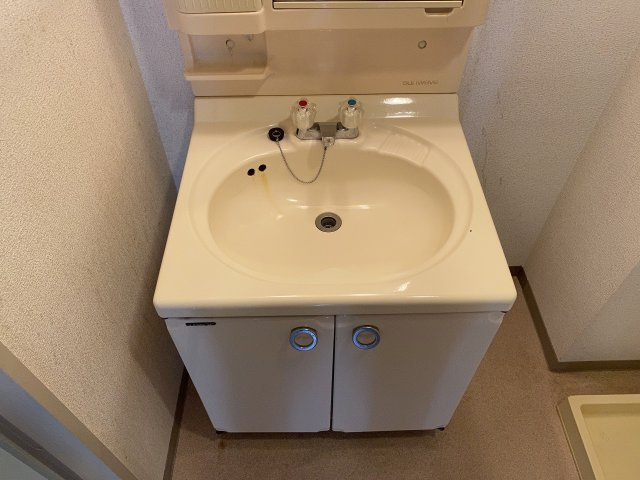 カーサエクセレントの洗面所