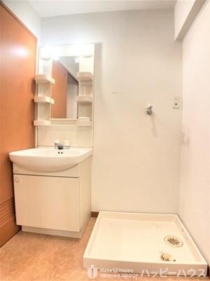 福岡市南区平和１丁目の賃貸マンションの洗面所