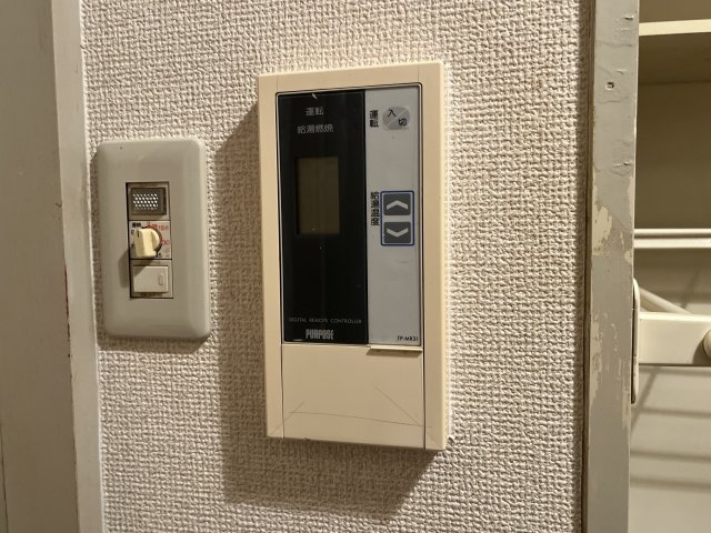 イスズベル八代のその他