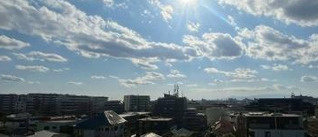 デュオ井の頭公園の展望