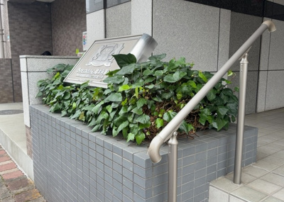 【中庭】 | ライオンズマンション橋本台第２ | 中庭（パティオ）とは、一つの建築物の内部に設けられた、壁などで囲われている庭のことを指します。コの字型、ロの字型が主流ですが、L字型の中庭もあります。最近では、インテリア性の高さからも人気があります。