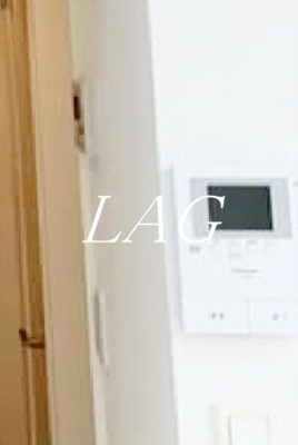 【セキュリティ】 | ヒラソル | モニター付インターホンです。