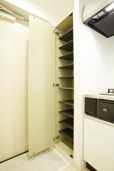 セレーネ豊田本町(セレーネトヨタホンマチ)の玄関
