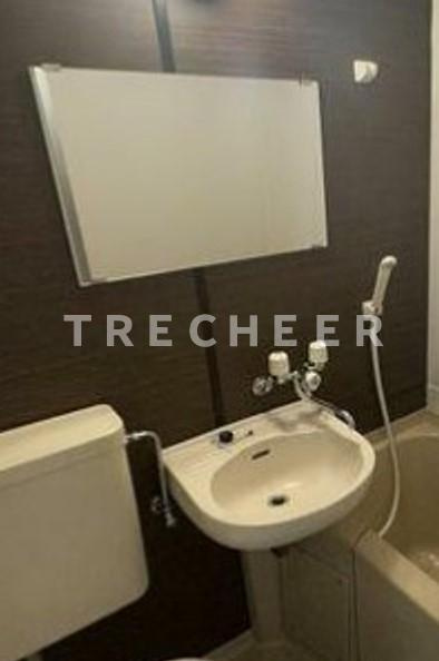 メゾンドフレールの洗面所