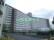 向島ニュータウン第三街区D棟の画像