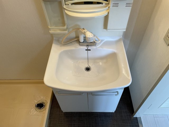 メゾン稲津の洗面所