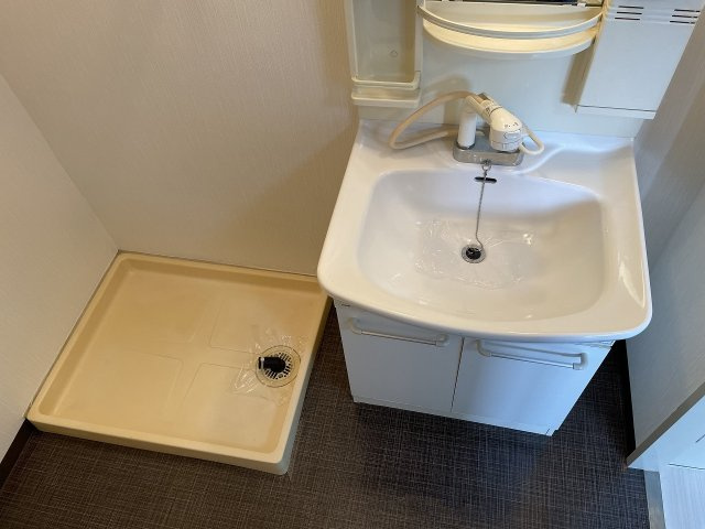 メゾン稲津の洗面所