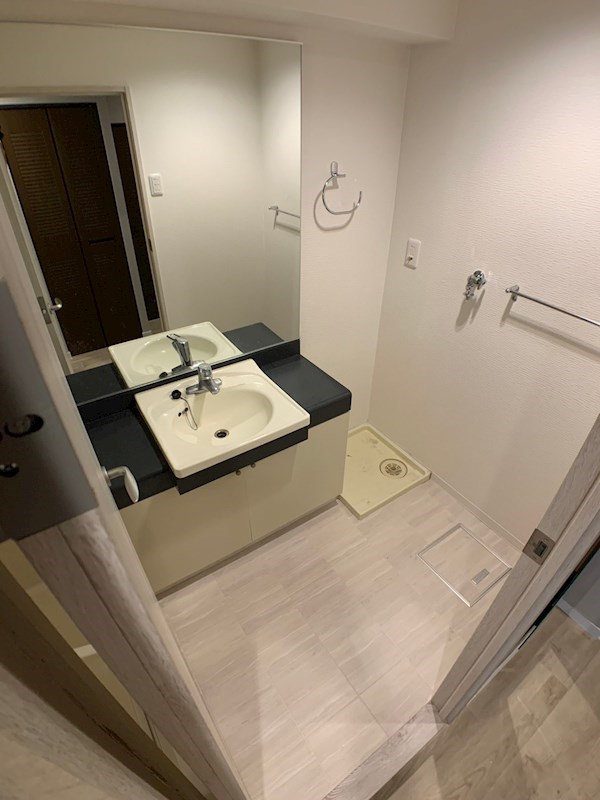 フレックス芦屋の洗面所