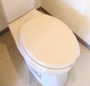 メイプルヒルズ滝野川のトイレ