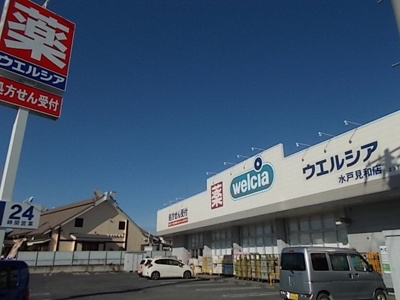 【周辺】 | プランドール | ウエルシア　見和店まで900m