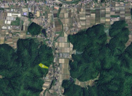 丹波篠山市曽地中　山林の画像