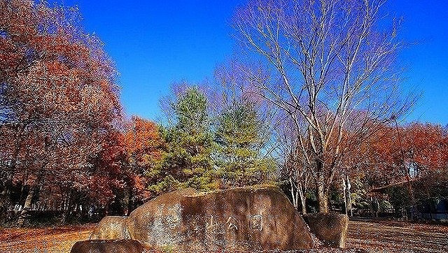 ヒカルサ狭山広瀬台フロントの周辺|智光山公園まで1600m