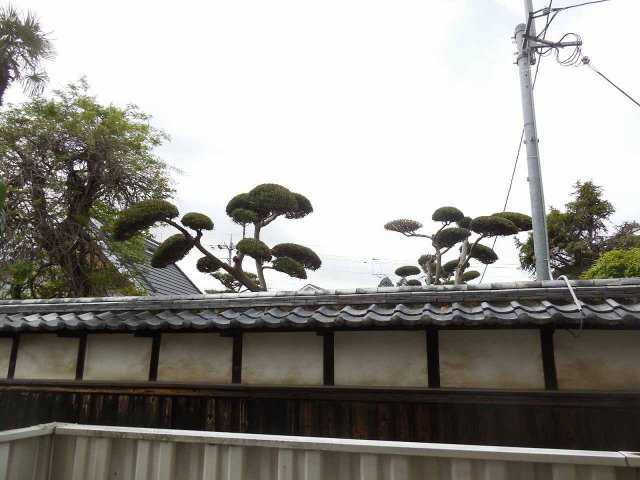 カーサクアトロの展望